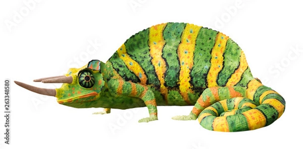Obraz lizard iguana toy on white background