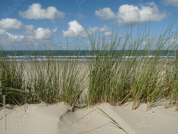 Obraz Ameland Nordsee Küste Strand Holland