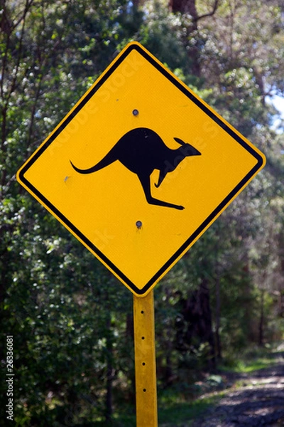 Fototapeta Kangaroo Sign