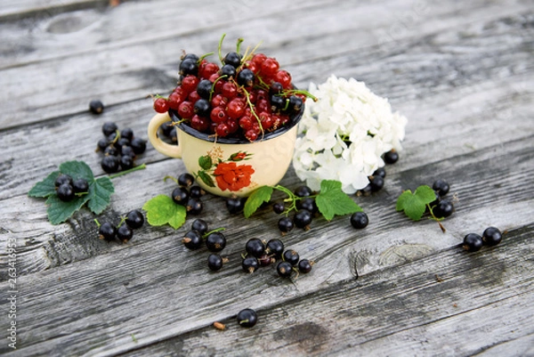 Fototapeta A cup of fresh berries on a gray wooden table. Red and black currant with green leaves and flower. Top view. 