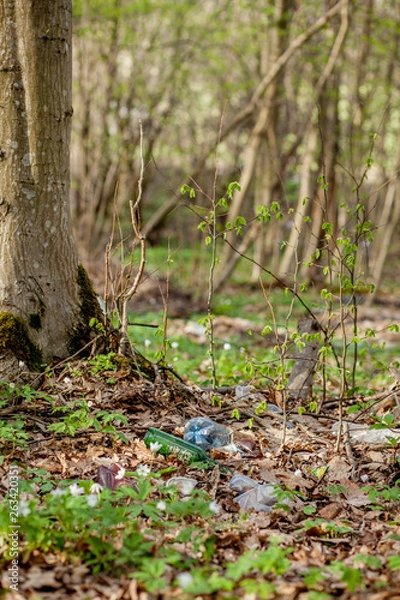 Fototapeta Plastic trash in the forest. Tucked nature. Plastic container lying in the grass