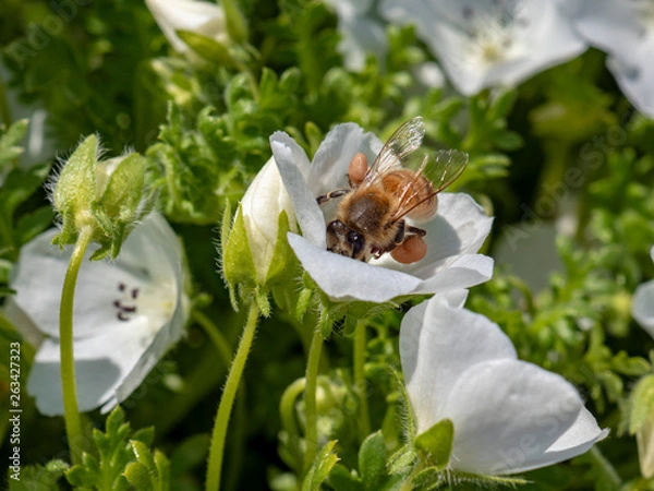 Fototapeta OLYMPUS DIGITAL CAMERA