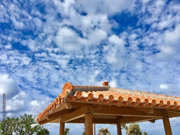 Fototapeta 青空の下で