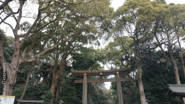 Fototapeta 明治神宮の入り口