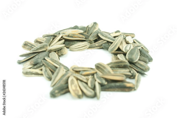 Obraz Sunflower seeds.