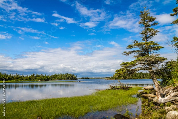 Obraz The coastline of Nova Scotia can be colorful at certain times.