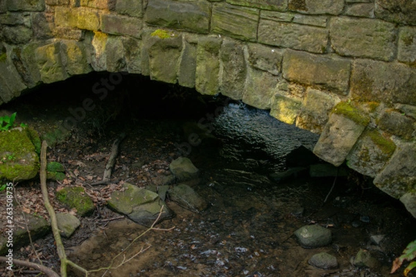Obraz River under Bridge