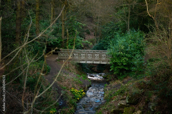 Obraz Bridge In Forest