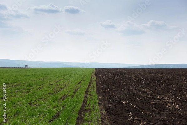 Fototapeta Moldavian agriculture fields in day of spring.