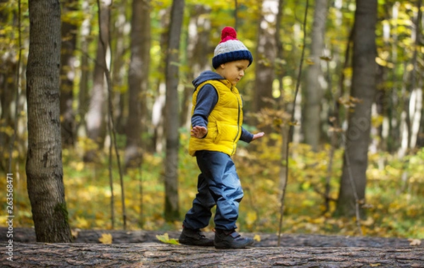 Fototapeta A little boy in a cap walks on a log