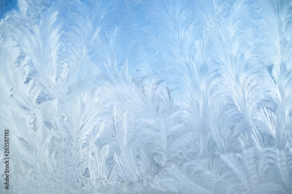 Obraz Ice patterns on winter glass