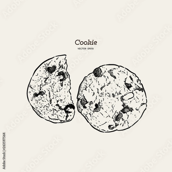 Obraz Chocolate chip cookie, hand draw sketch vector.