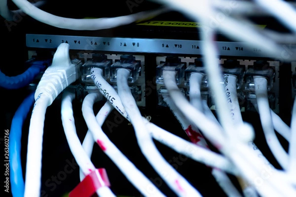 Obraz Lan swicth network.