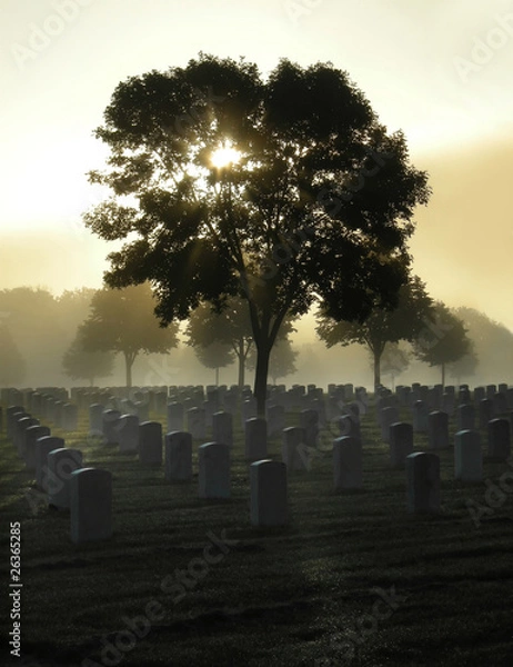 Obraz Cemetery in the Fog