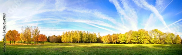 Fototapeta Beautiful bright autumn nature panoramic landscape with golden yellow and and orange trees glows in sun on background of blue sky with white cirrus clouds, copy cpace.
