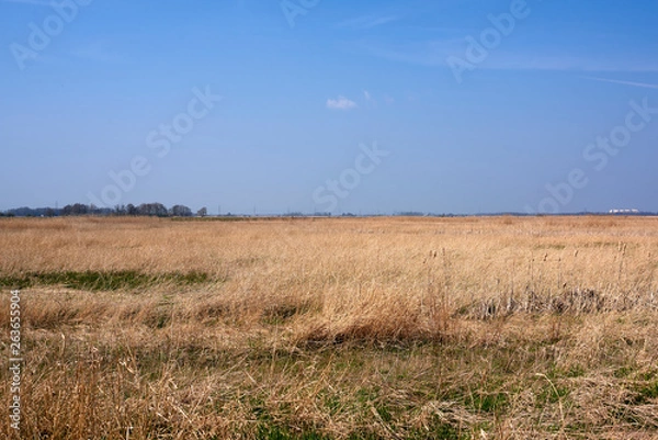 Fototapeta Grass and sky in Groningen - Holland - Netherlands