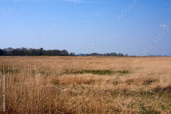 Fototapeta Grass and sky in Groningen - Holland - Netherlands