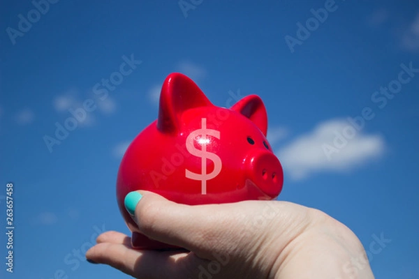 Obraz Piggy Bank with Dollar symbol on its side