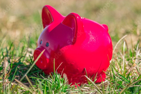 Obraz Pink piggy bank on the grass