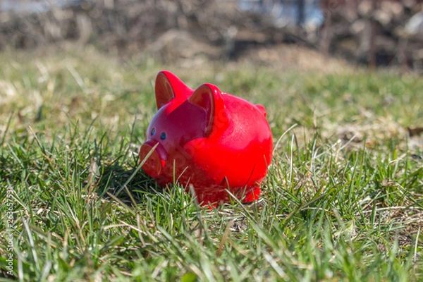 Obraz Pink piggy bank on the grass