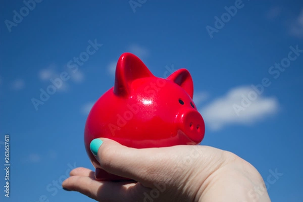Obraz Pink piggy Bank on the palm on background of blue sky