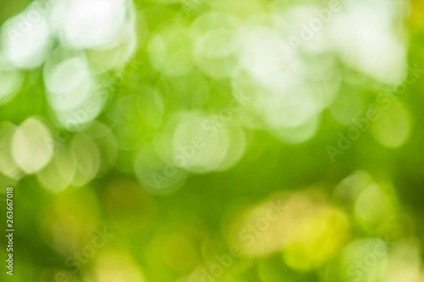 Fototapeta green nature background