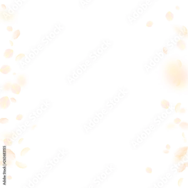 Fototapeta Yellow orange flower petals falling down. Notewort