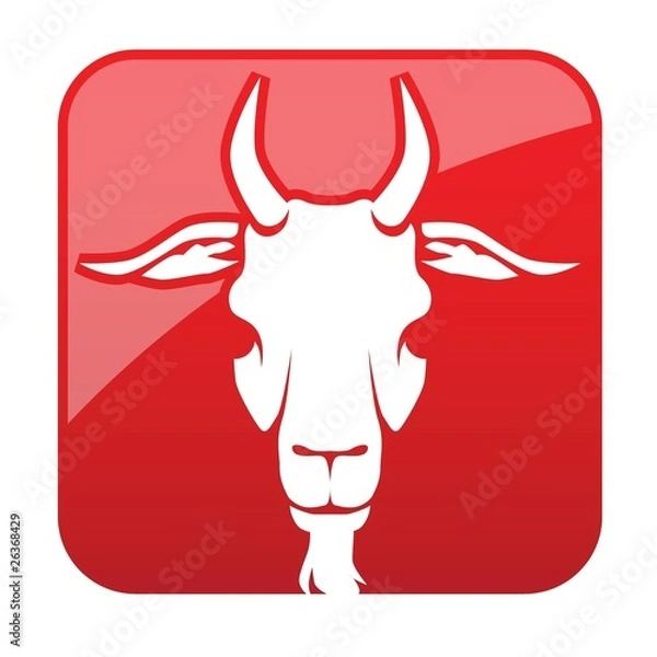 Fototapeta steinbock