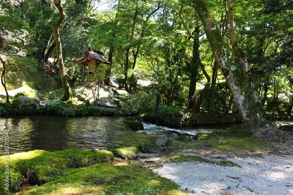 Obraz 京都・上賀茂神社の小川