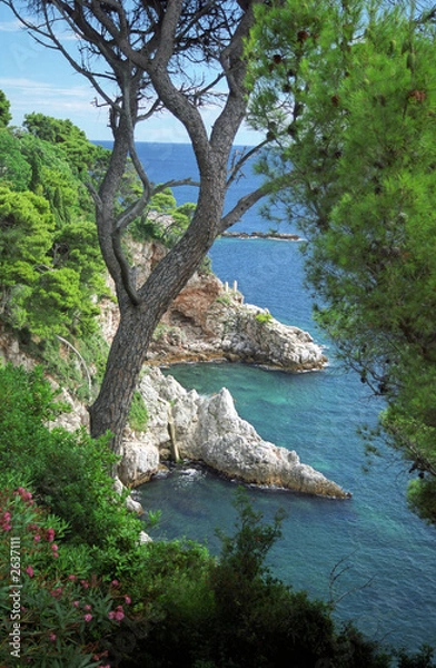 Obraz adriatic coast in dubrovnik