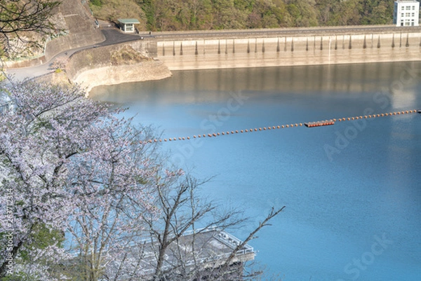 Fototapeta サクラとダムの風景