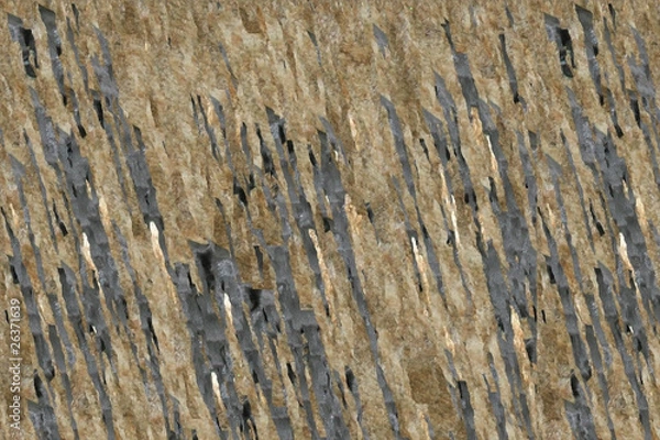 Obraz Wild background