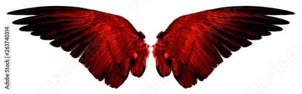 Obraz czerwone skrzydła na białym tle