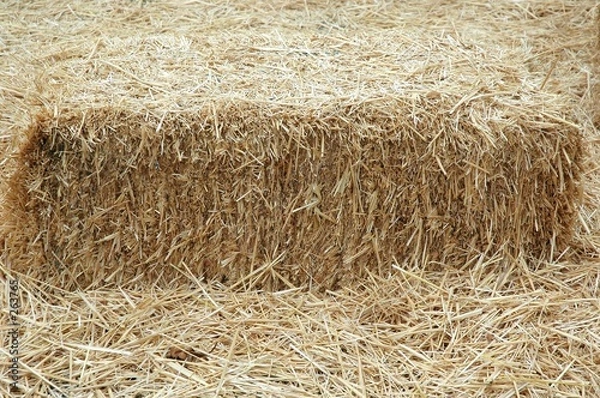 Fototapeta hay stack