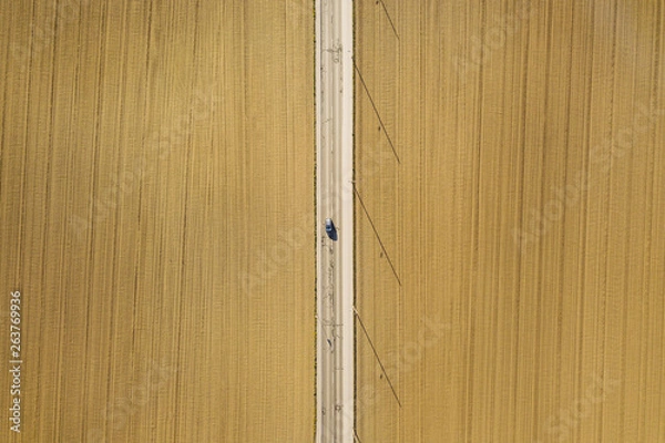 Obraz Car driving a lonely road between fields