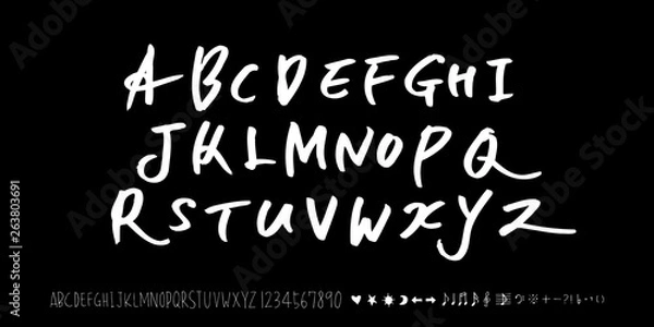 Fototapeta 벡터 문자 / 손으로 쓴 글씨체