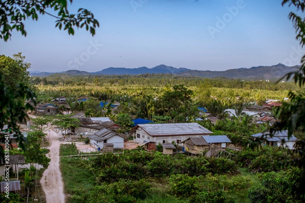 Fototapeta The background of deciduous trees has a variety of branches, waiting for a new break on the high mountains, a natural beauty seen during an adventurous journey.