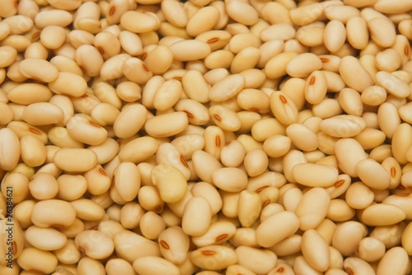 Obraz Soya beans soaked in water.
