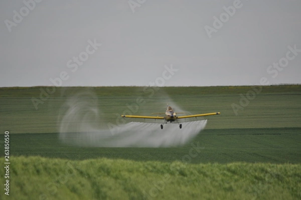 Obraz Cropdusting Swirly Tail