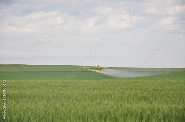 Obraz Cropdusting