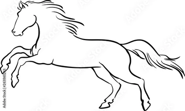 Obraz Vector line sketch horse