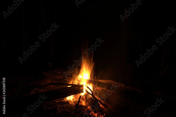 Fototapeta The Campfire