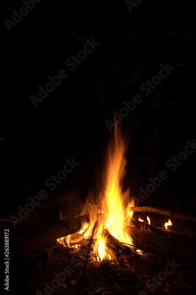 Fototapeta The Campfire