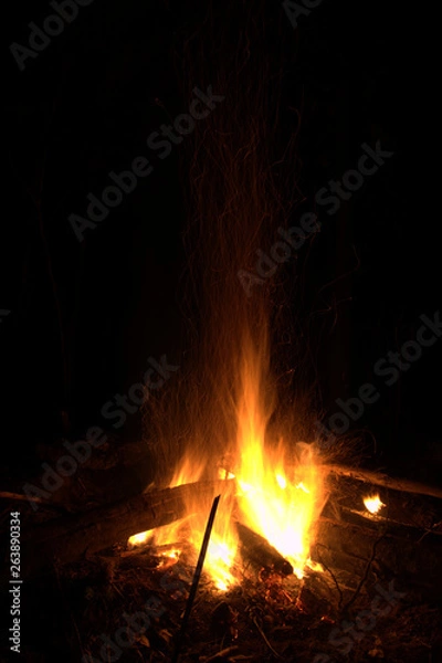 Fototapeta The Campfire