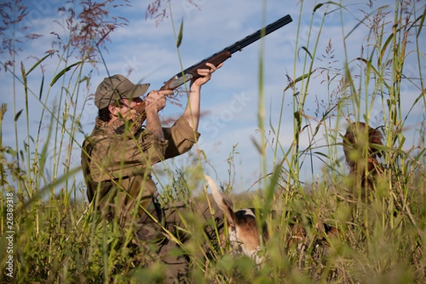 Fototapeta Hunter aiming at the hunt during a hunting party