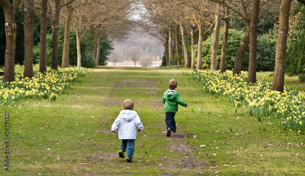 Fototapeta Two young boys run down a country lane lined with daffodils