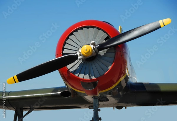 Obraz Close up of aircraft nose and propeller