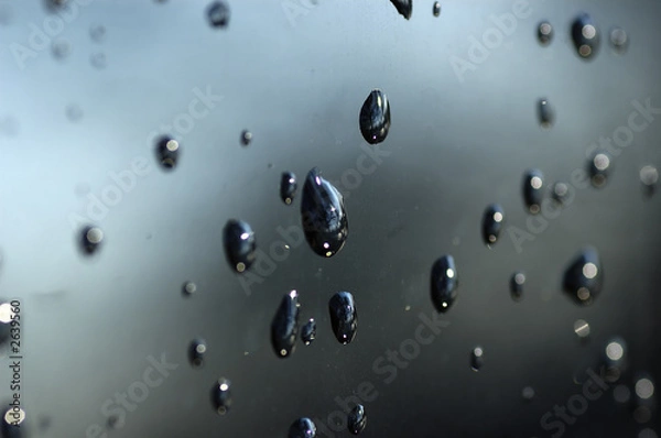 Fototapeta water droplets