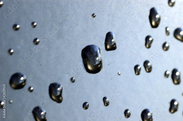 Fototapeta water droplets