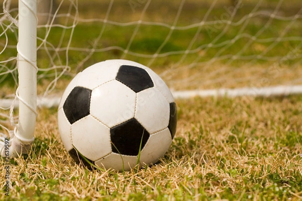 Obraz soccer ball & goal